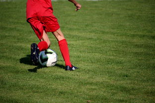 爱游戏电脑版官网-中国篮球教练员职业发展规划及培训体系，篮球教练员职业生涯规划